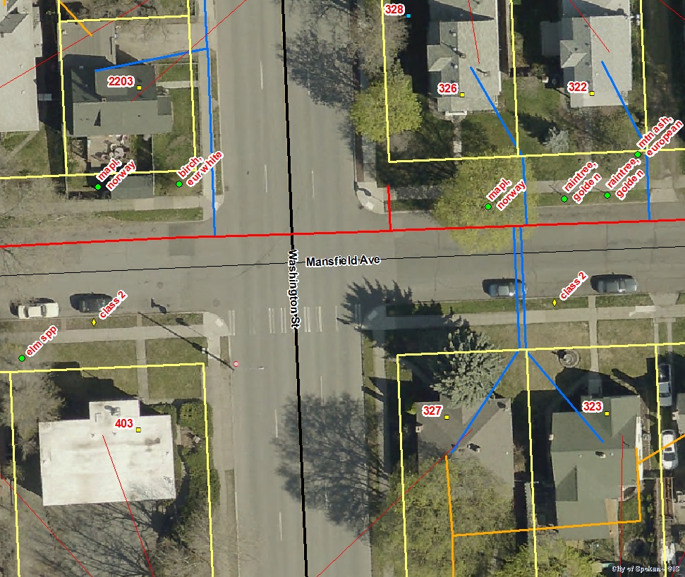 Greening Grants Street Trees on W Mansfield EmersonGarfield Community